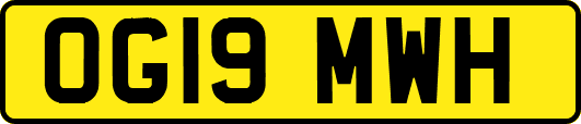 OG19MWH