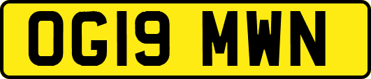 OG19MWN