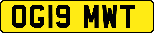 OG19MWT
