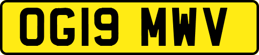 OG19MWV