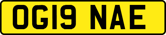 OG19NAE