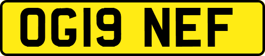 OG19NEF