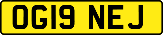 OG19NEJ