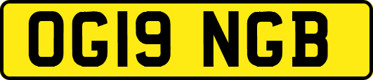 OG19NGB