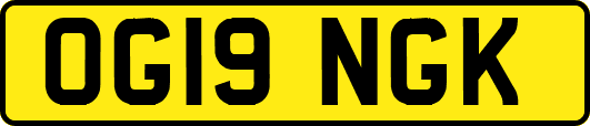 OG19NGK