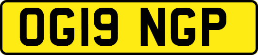 OG19NGP