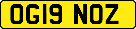 OG19NOZ