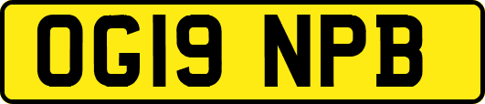 OG19NPB