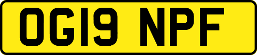 OG19NPF
