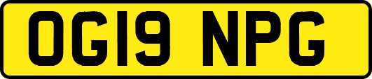 OG19NPG