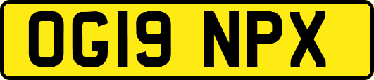 OG19NPX