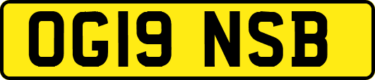 OG19NSB