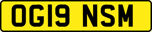 OG19NSM