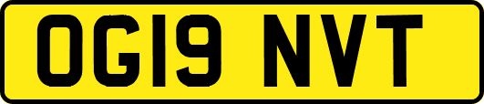 OG19NVT