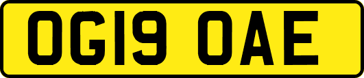 OG19OAE