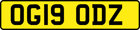 OG19ODZ