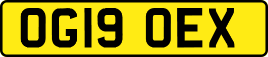 OG19OEX