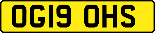 OG19OHS