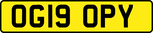 OG19OPY