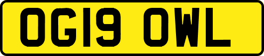 OG19OWL