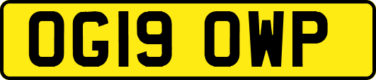 OG19OWP