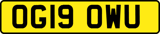 OG19OWU