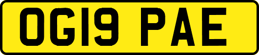 OG19PAE