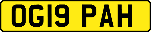 OG19PAH