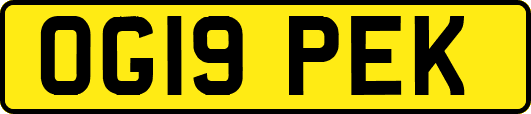 OG19PEK