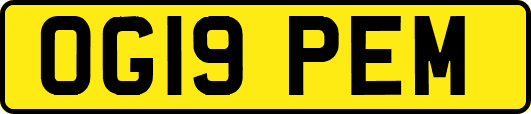 OG19PEM