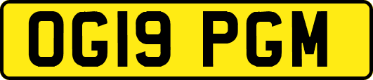 OG19PGM