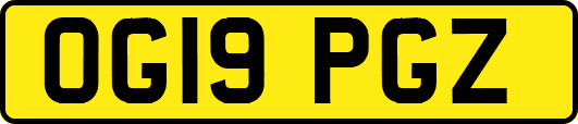 OG19PGZ