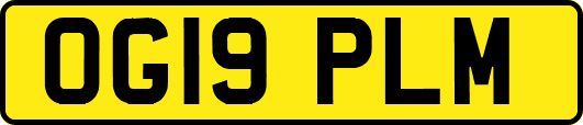 OG19PLM
