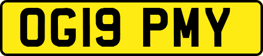 OG19PMY