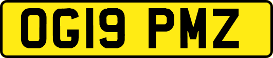 OG19PMZ
