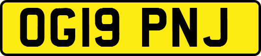 OG19PNJ