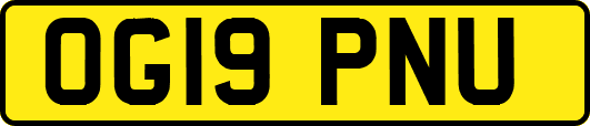 OG19PNU
