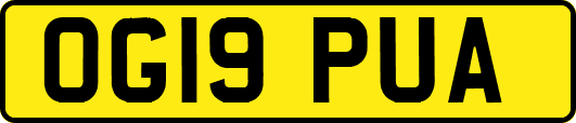 OG19PUA