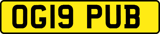 OG19PUB