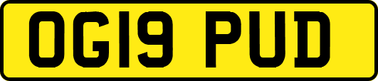 OG19PUD