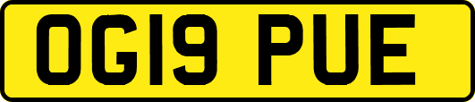 OG19PUE