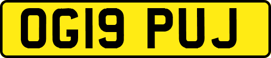 OG19PUJ