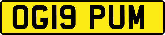 OG19PUM