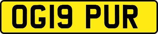 OG19PUR