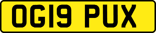 OG19PUX