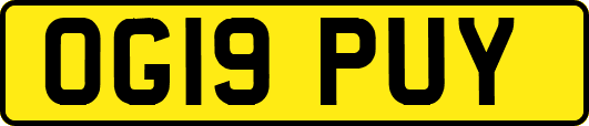 OG19PUY