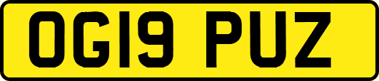 OG19PUZ