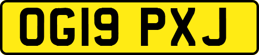OG19PXJ