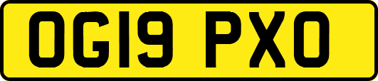 OG19PXO