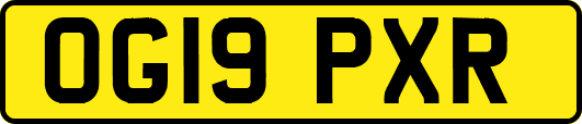 OG19PXR